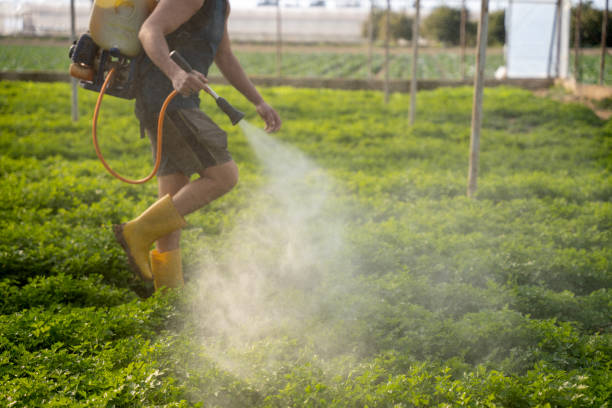 Pest Control Cost in Riverside, PA