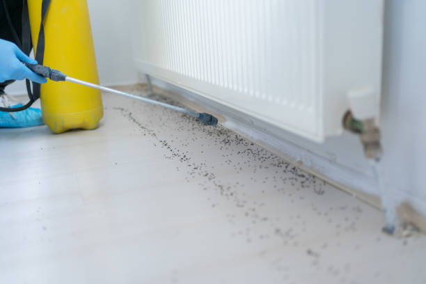 Best Rat Extermination Near Me  in Riverside, PA